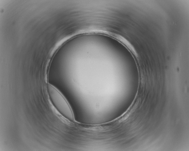 X0000076251388200609280936