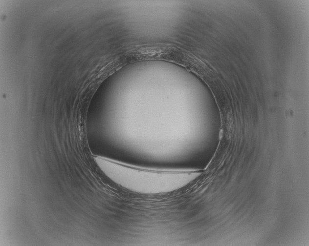 X0000076251394200609280936