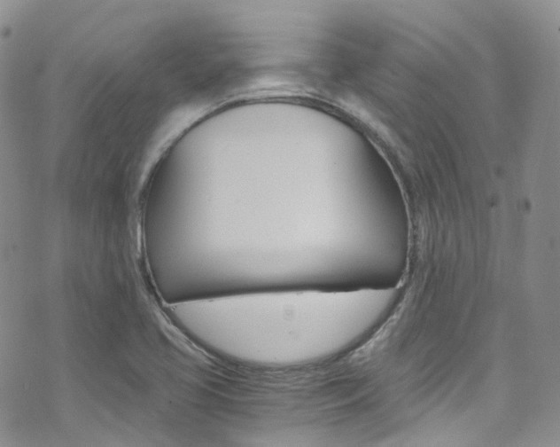 X0000076251413200609280936