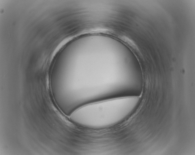 X0000076251420200609280936