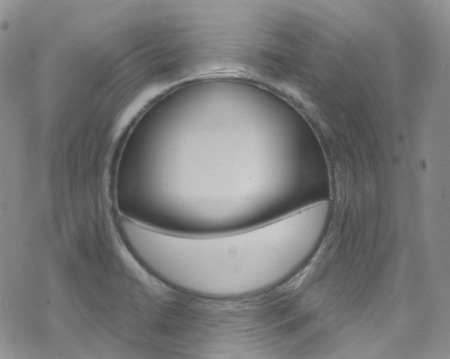 X0000076251422200609280936