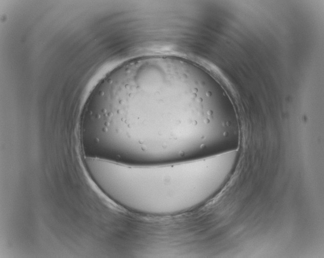 X0000076251432200609280936