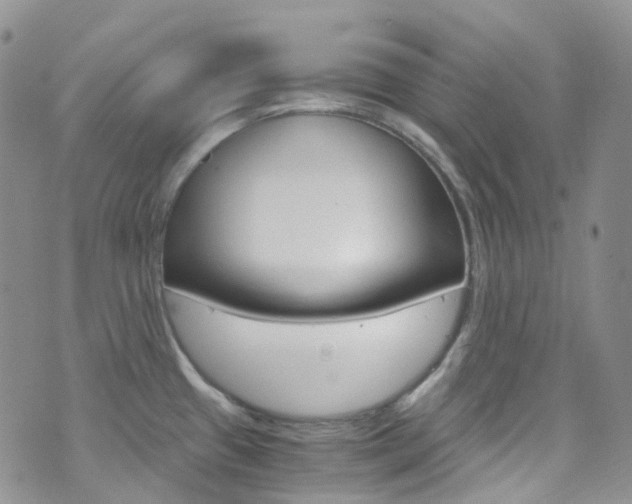 X0000076251433200609280936