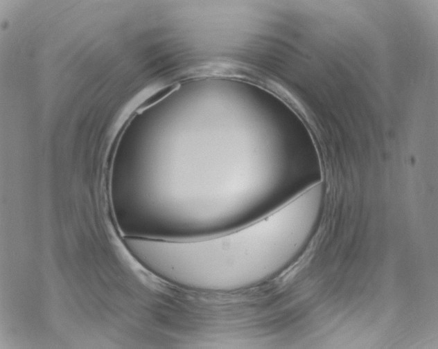 X0000076251434200609280936