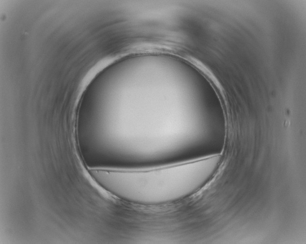 X0000076251437200609280936