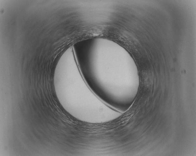 X0000076251442200609280936
