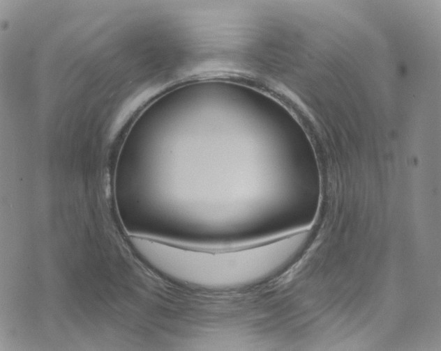 X0000076251461200609280935