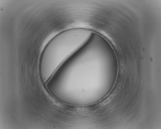 X0000076251469200609280935
