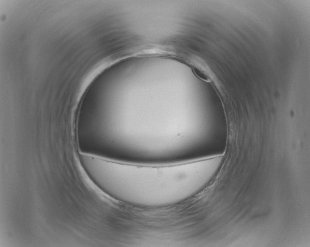 X0000076251483200609280935
