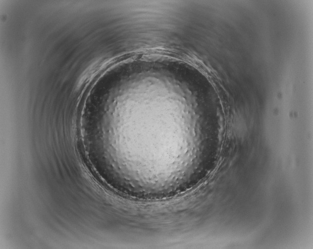 X0000076250002200609281151