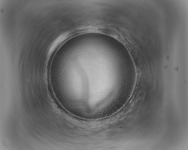 X0000076250006200609281151