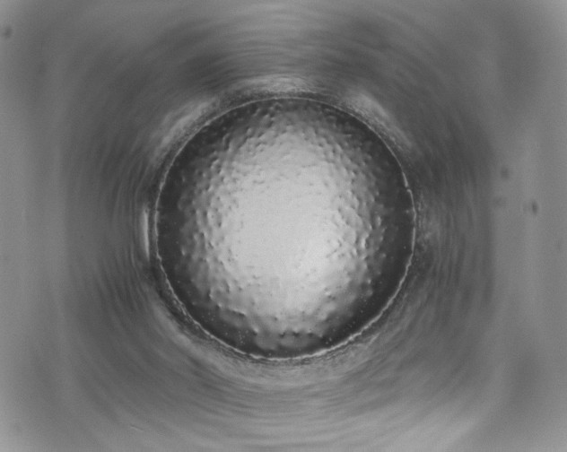 X0000076250014200609281151