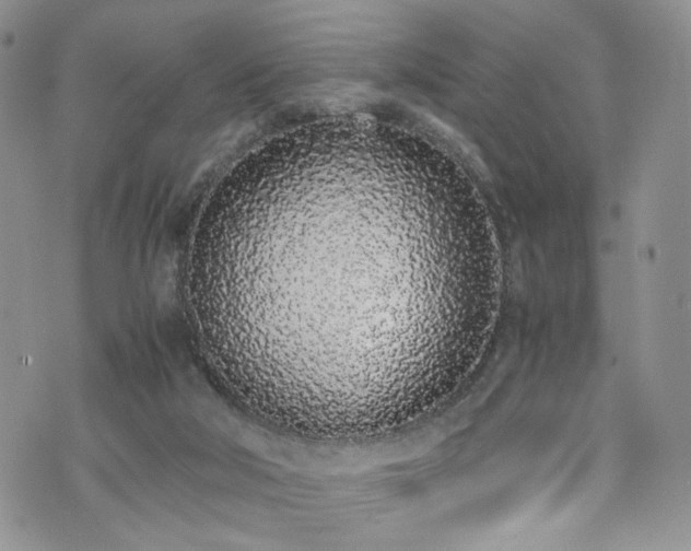 X0000076250018200609281151
