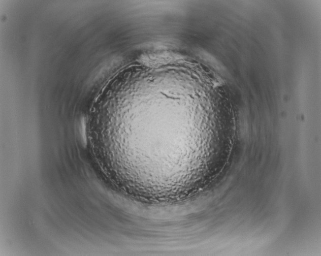 X0000076250022200609281151