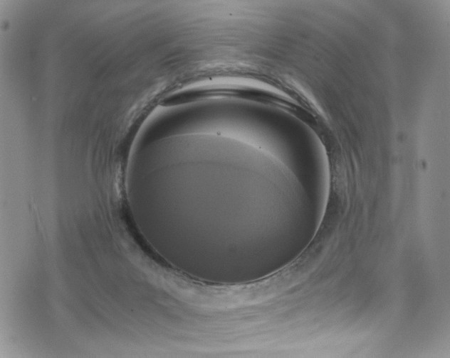 X0000076250023200609281151