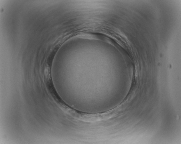 X0000076250029200609281150