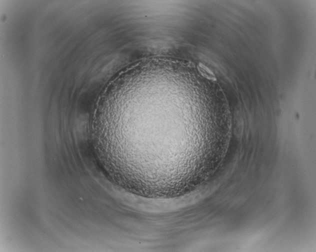 X0000076250034200609281150