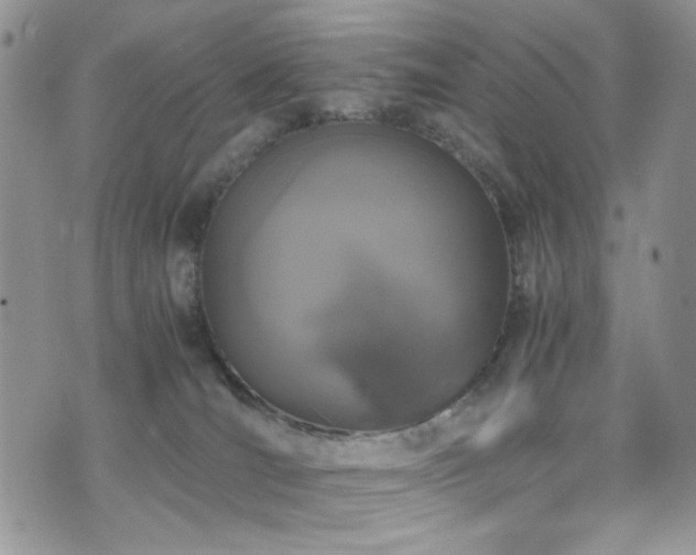 X0000076250036200609281150