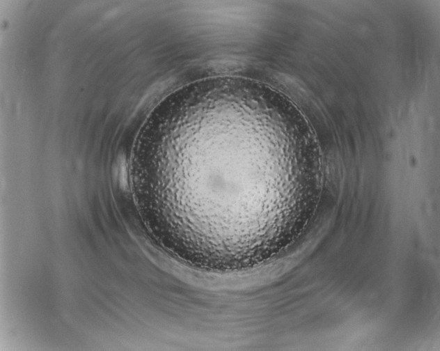X0000076250046200609281150