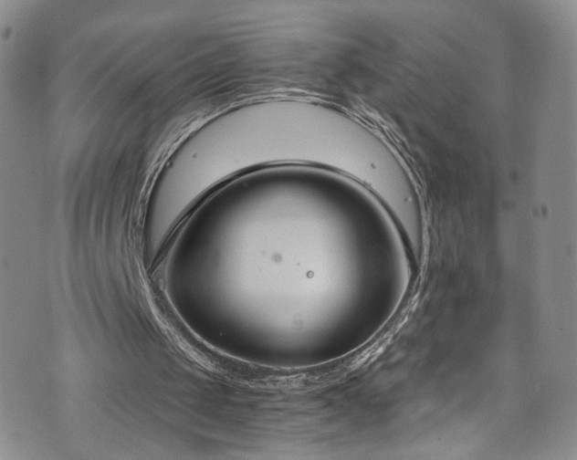 X0000076250049200609281149