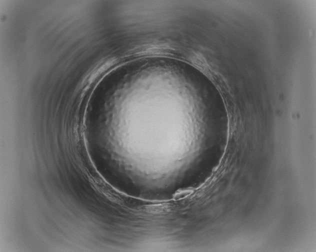 X0000076250050200609281149