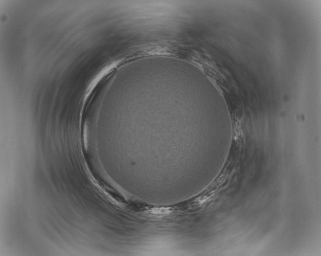 X0000076250052200609281149