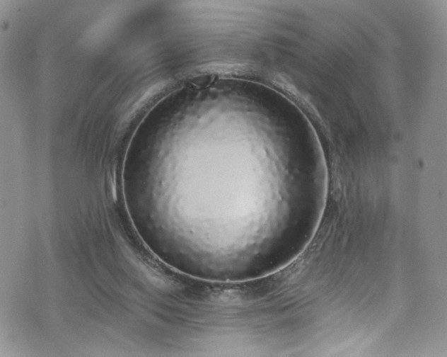 X0000076250062200609281150