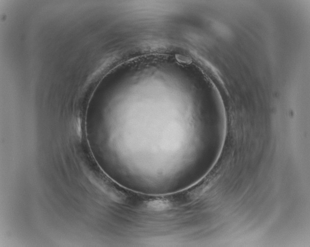 X0000076250067200609281150