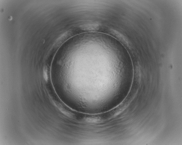 X0000076250069200609281150