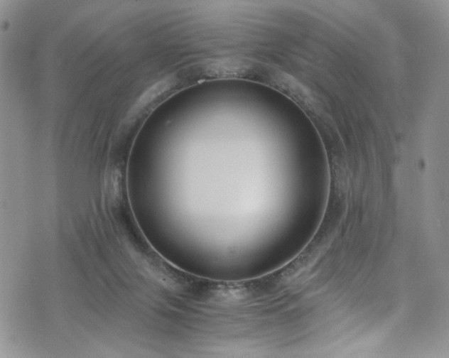 X0000076250071200609281150