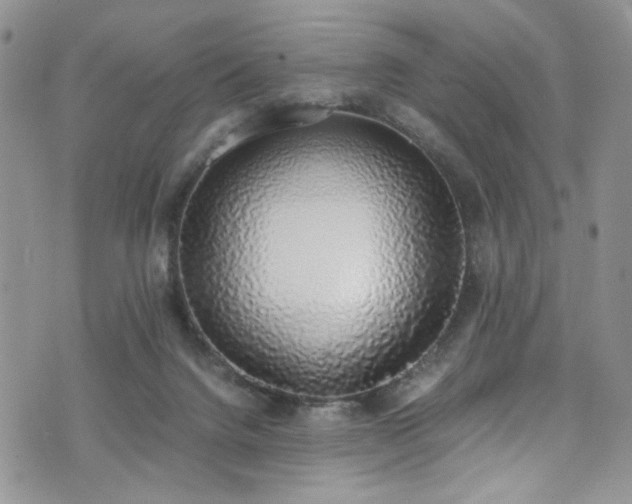 X0000076250072200609281150