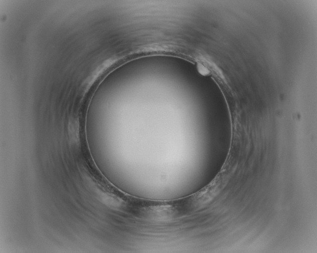 X0000076250108200609281149
