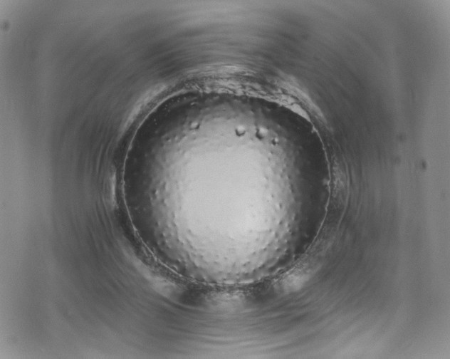 X0000076250110200609281149