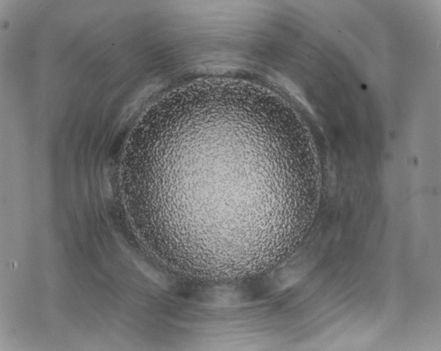 X0000076250114200609281149