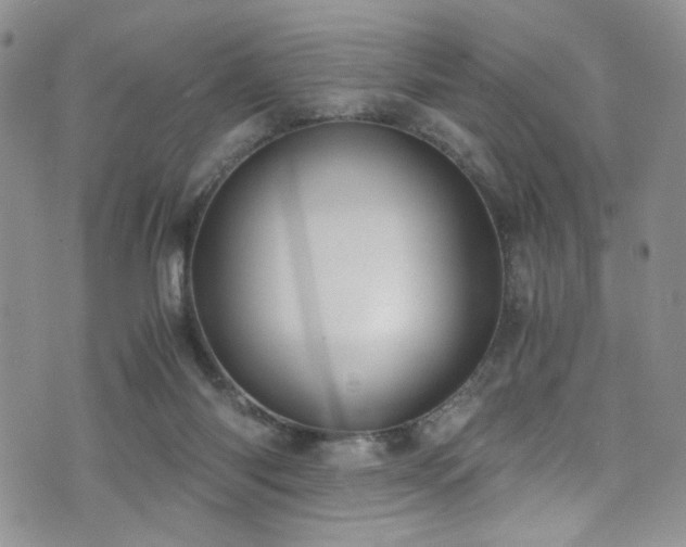 X0000076250118200609281149
