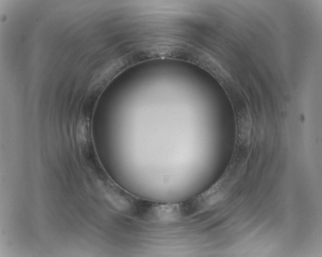 X0000076250126200609281149
