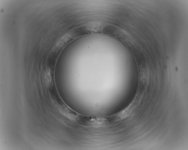 X0000076250128200609281149