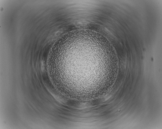 X0000076250130200609281149