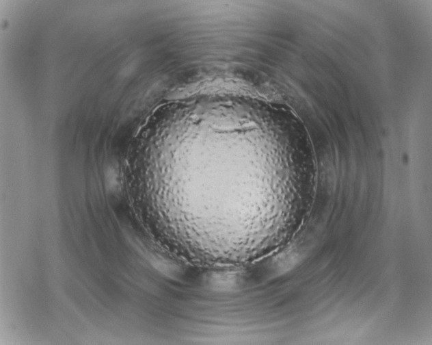 X0000076250134200609281149