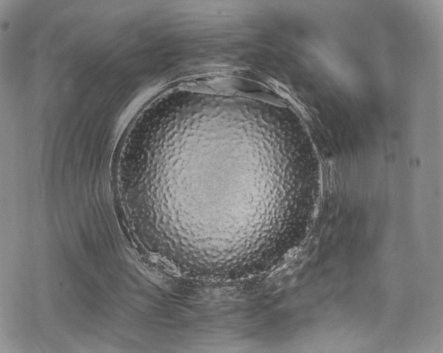 X0000076250147200609281148