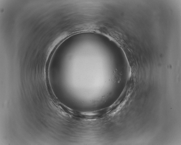 X0000076250148200609281148