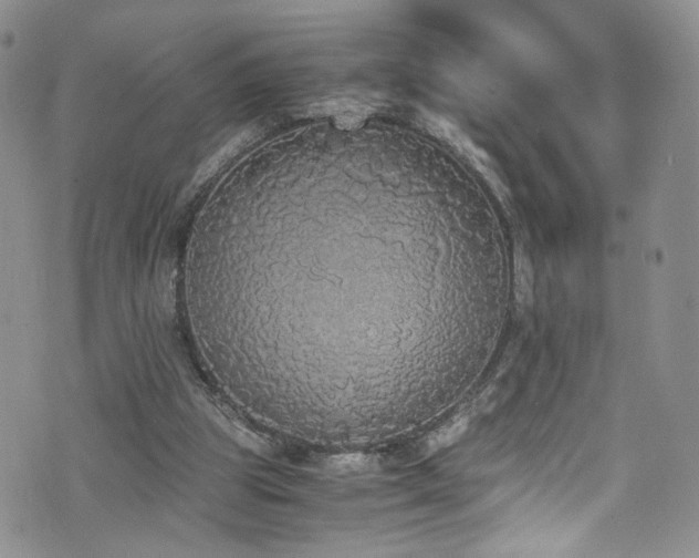 X0000076250153200609281148