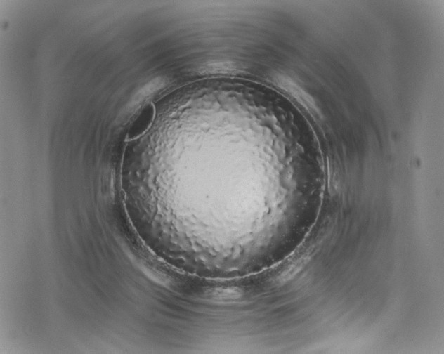 X0000076250157200609281148