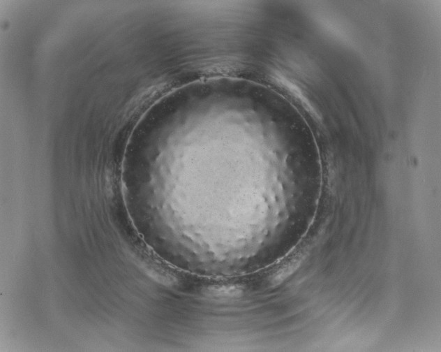 X0000076250161200609281148