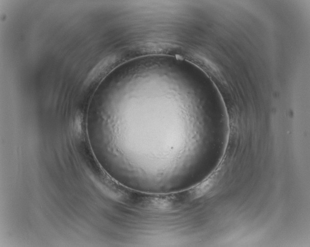X0000076250166200609281148