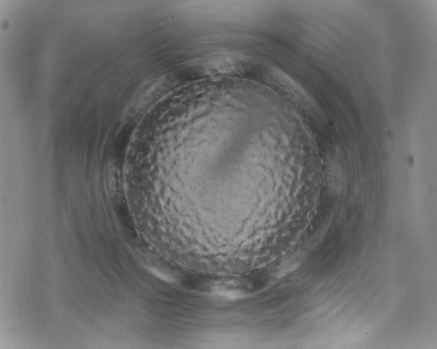 X0000076250169200609281148
