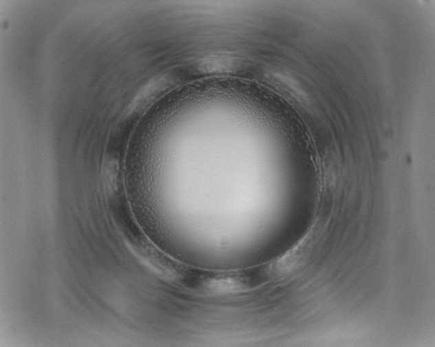 X0000076250171200609281148