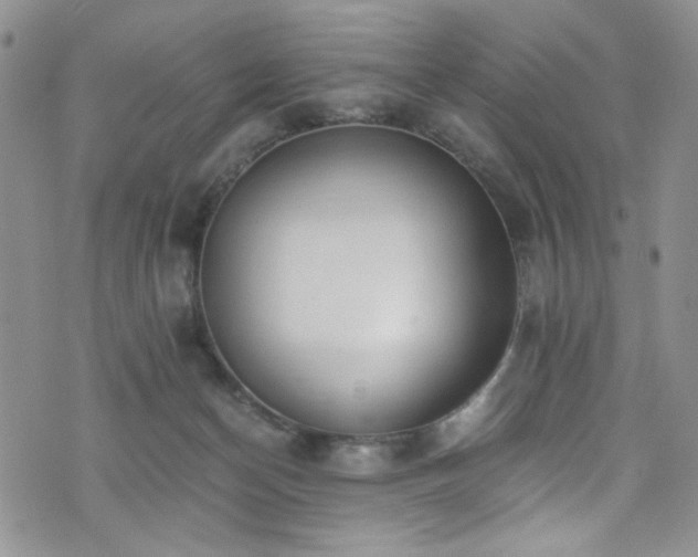 X0000076250174200609281148