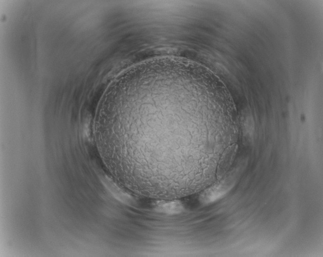 X0000076250185200609281148