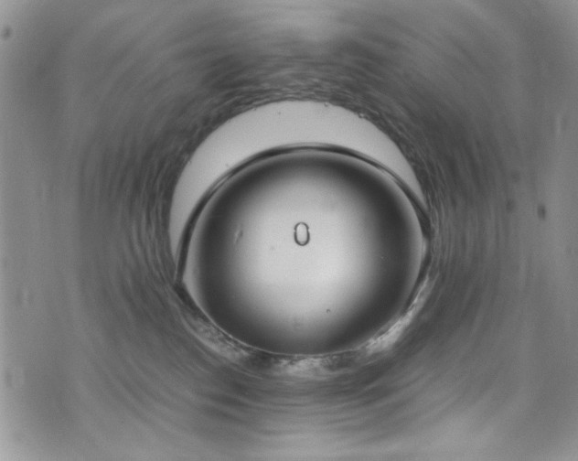 X0000076250186200609281148